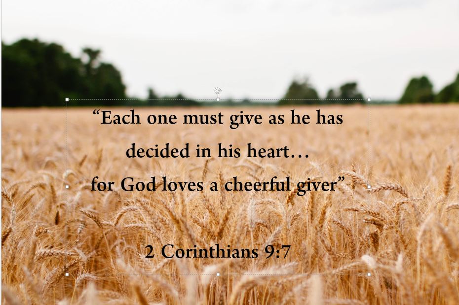 Stewardship In My Life